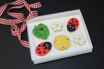 Ladybird Happy Birthday Cookie Gift Box