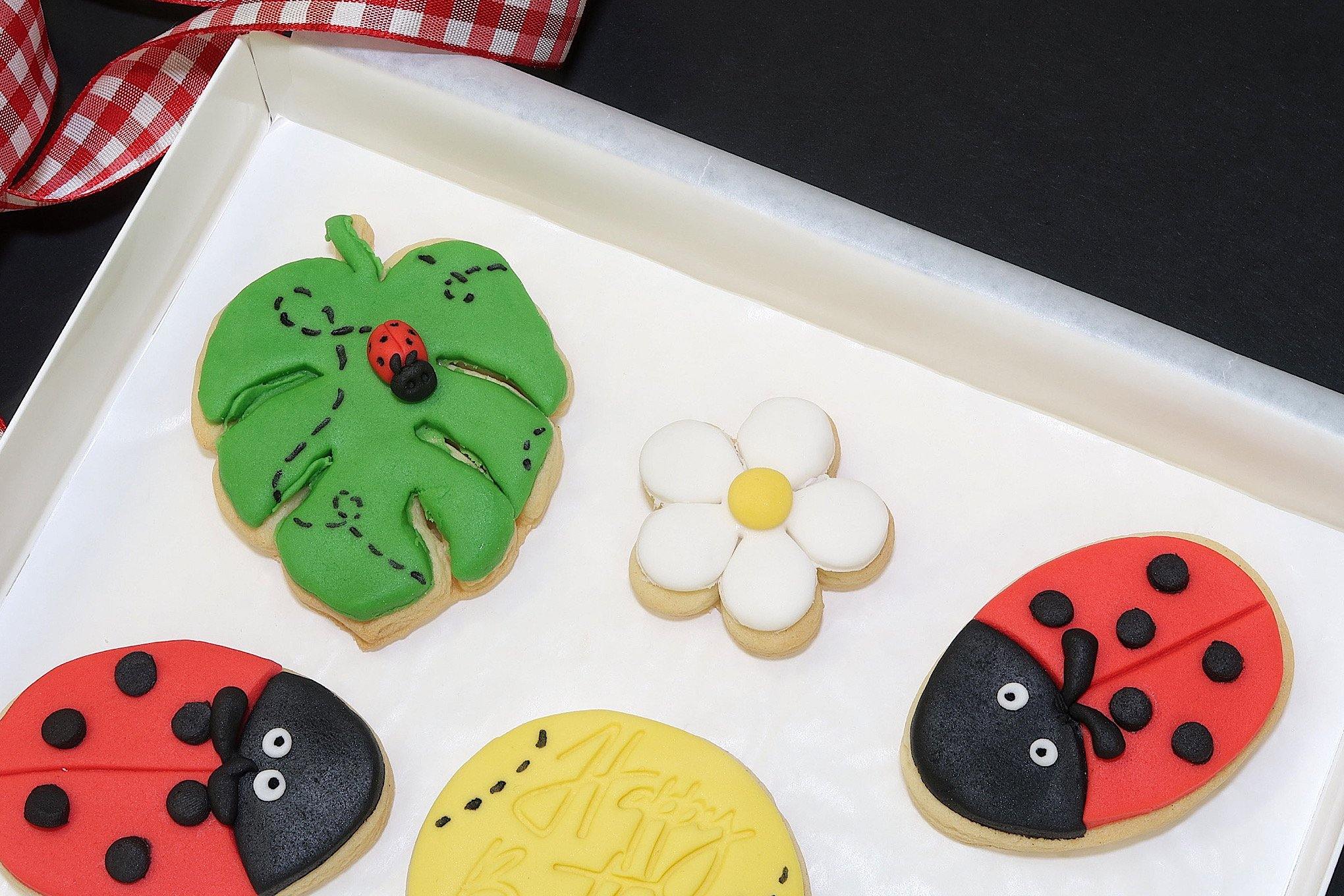 Ladybird Happy Birthday Cookie Gift Bo