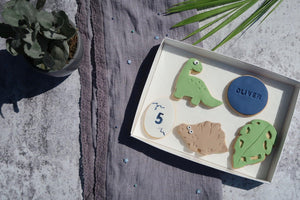 Dinosaur birthday cookie giftbox